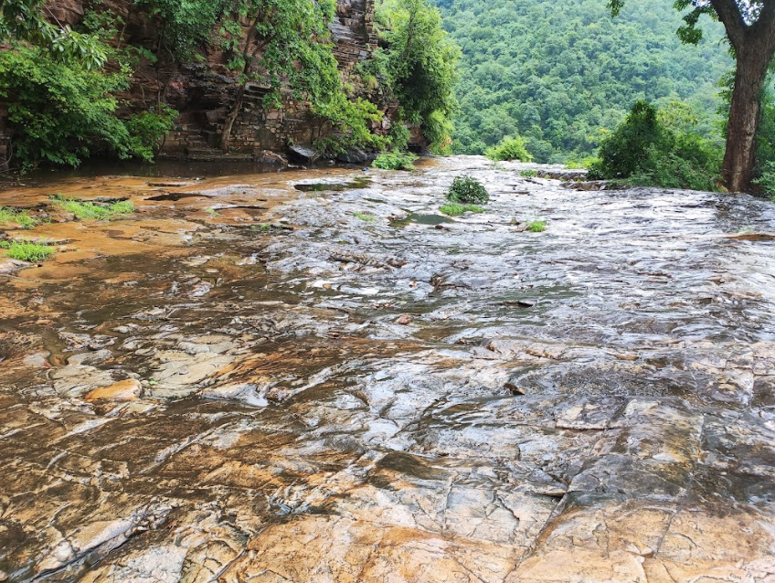 Rocky stream and forest pathway