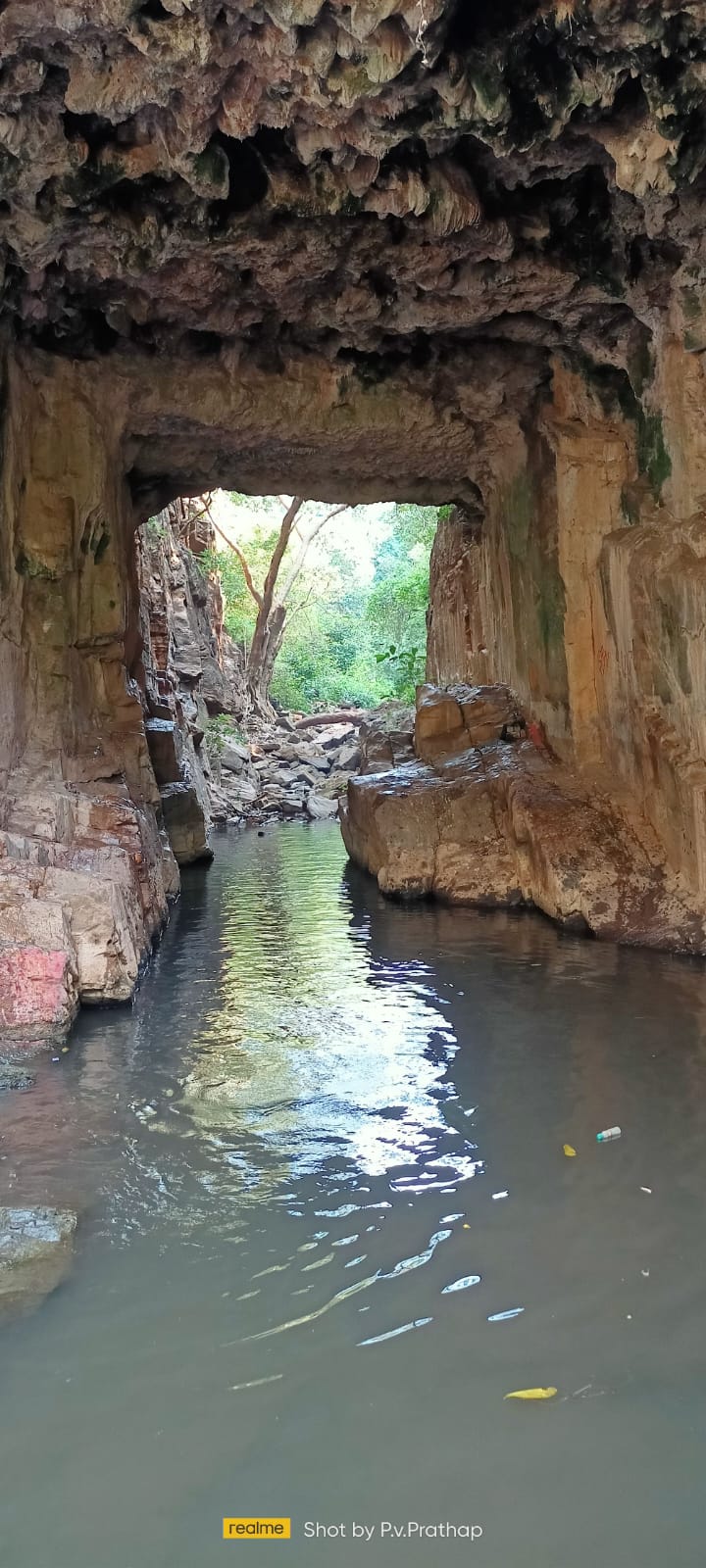 View from inside the Ulleda cave looking at the forest